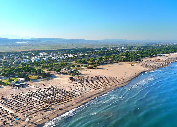 Daire Seaside Timber