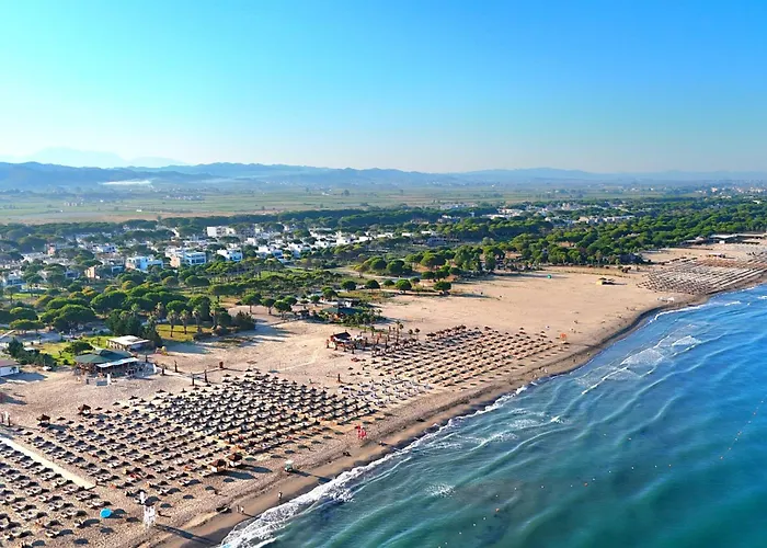 Seaside Timber Daire *